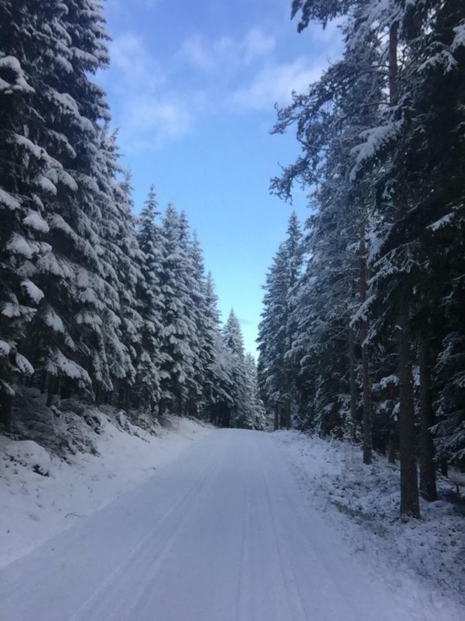Ferienhaus Am Mycklaflon Eksjö Dış mekan fotoğraf